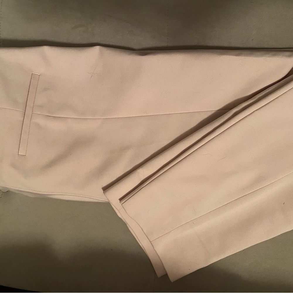 Express Light Pink Trousers